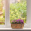 Blumenkasten Balkon 3er Set 5