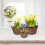 Runder Blumentopf aus Holz - 3er-Set 2