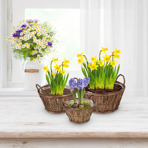 Runder Blumentopf aus Holz - 3er-Set 1