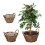 Runder Blumentopf aus Holz - 3er-Set 1