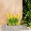 Dreieckiger Blumentopf - 2er-Set 3