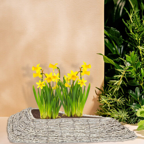 Dreieckiger Blumentopf - 2er-Set 2