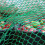 Anhängernetz 1,5 x 2,2 m 6
