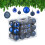 Christbaumkugeln im 50er Set 1