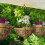 Grapevine 3er Set Kokosnuss 5