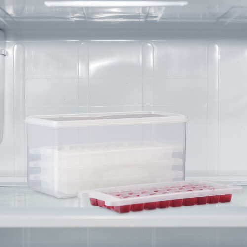 Eiswürfelformen-Set mit Box und Deckel 1