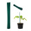 Blumenstäbe 30 cm im 50er Set 1