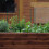 Blumenstäbe 30 cm im 50er Set 2