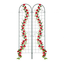 Rankgitter 220 cm 2er Set grün