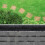 10er Set Dachrinnenbürsten 12 cm 2