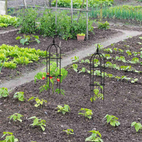 Rankgitter 70 cm, 2er-Set 1
