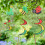 Windspiel Spirale Tiermotiv 3er Set 2
