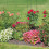 Pflanzenstütze 150 cm, 2er-Set 5