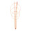 Pflanzenstütze 76 cm orange, 6er-Set 6