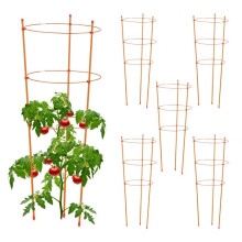 Pflanzenstütze 76 cm orange, 6er-Set