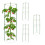 Grüne Pflanzenstützen 60 cm, 4er-Set 1