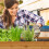 Growbox mit 3 Ebenen 3