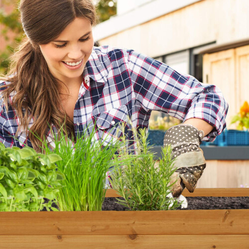 Growbox mit 3 Ebenen 2