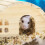 Wooden hamster house 5