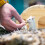 Wooden hamster house 3
