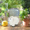 Gartenfigur Schaf 2