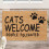 Fußmatte Kokosfaser Cats Welcome 2
