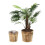 Blumentopf aus Holz - 2er-Set 1
