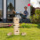 XL Wackelturm Holz 3