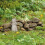 Katzenengelstatue 5