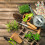 Cultivation pots 240 pcs. 2