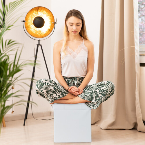 Hocker aus Kunstleder mit Stauraum 2