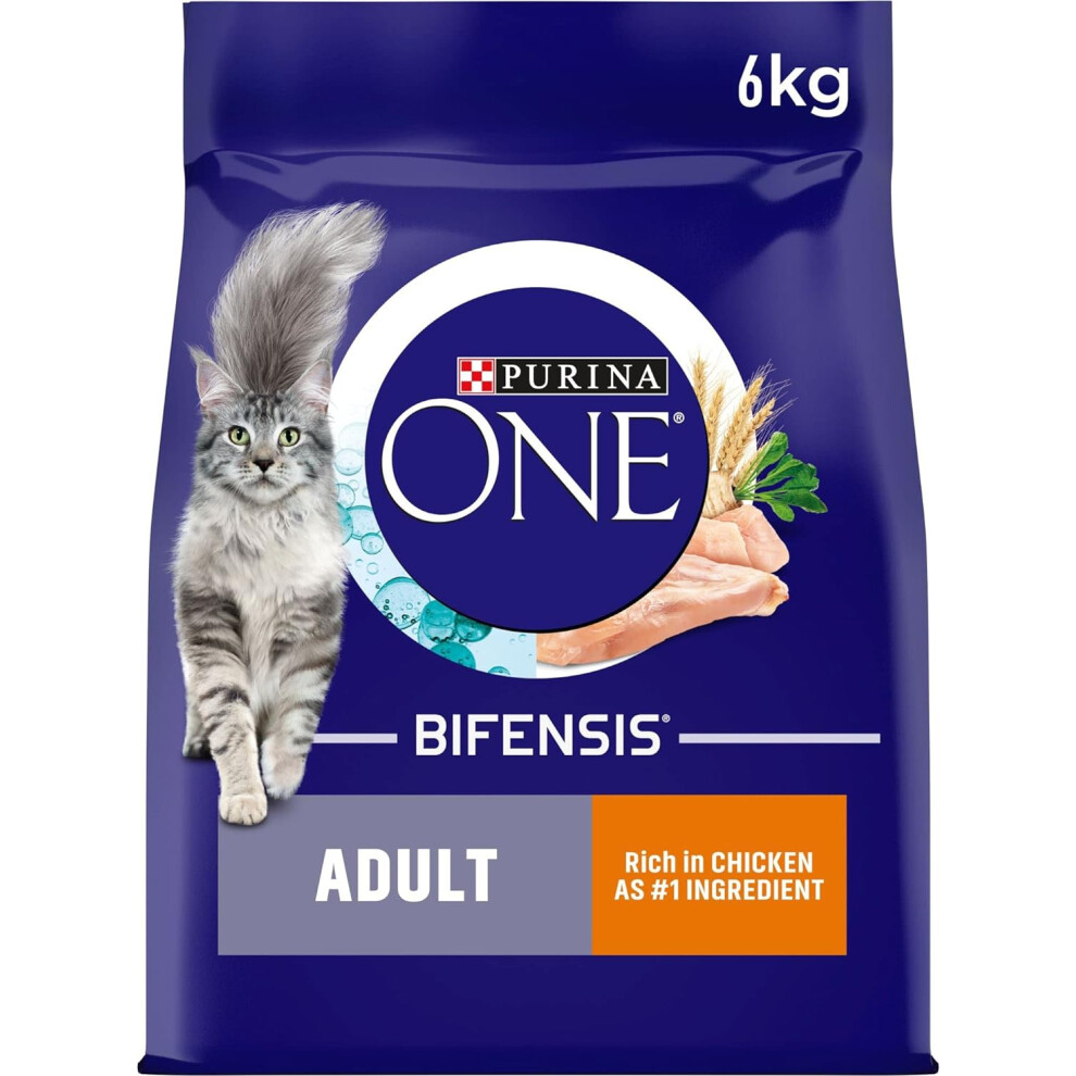 Purina ONE Adult Dry Cat Food Rich in Chicken 6kg, Packaging may vary