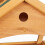 Wand für Vogelhäuschen 7