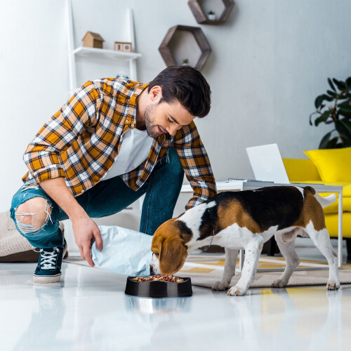 Anti-Schling-Napf für Hunde 2