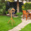 Bird table on pole 2