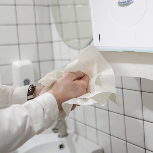 Papierhandtuchspender Wand 2