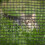 Sicherheitsnetzständer Trampolin 3