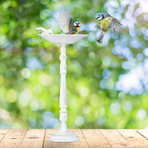 Antikes Vogelbad aus Gusseisen 1