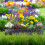 Flower box set of two 5