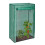 Greenhouse tomato cultivation 1