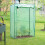 Greenhouse tomato cultivation 2