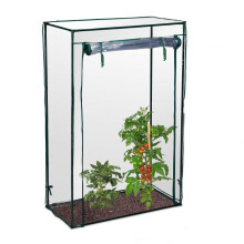 Tomatenanbau im Gewächshaus