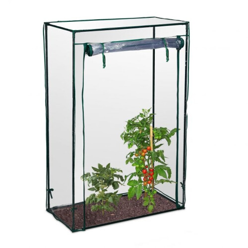 Tomatenanbau im Gewächshaus