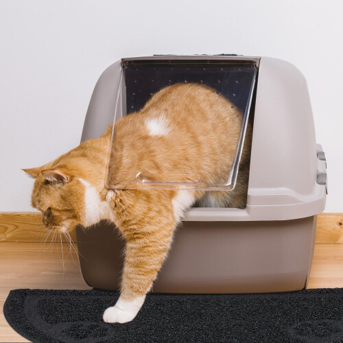 Katzentoilettenmatte 2