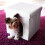 Taburete para cajas de perros 2