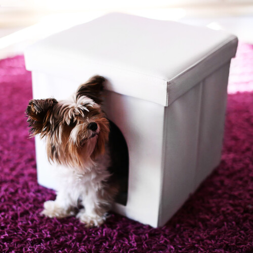 Taburete para cajas de perros 1