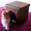 Hocker für Hundeboxen 2