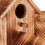 Ornamentnest 3 Häuser 8