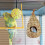 Vogelnest zum Aufhängen 3