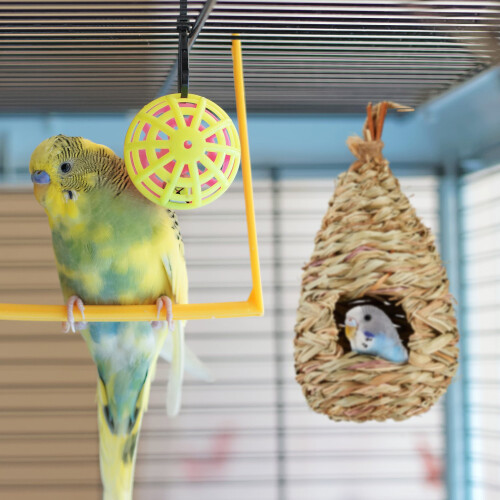 Vogelnest zum Aufhängen 2